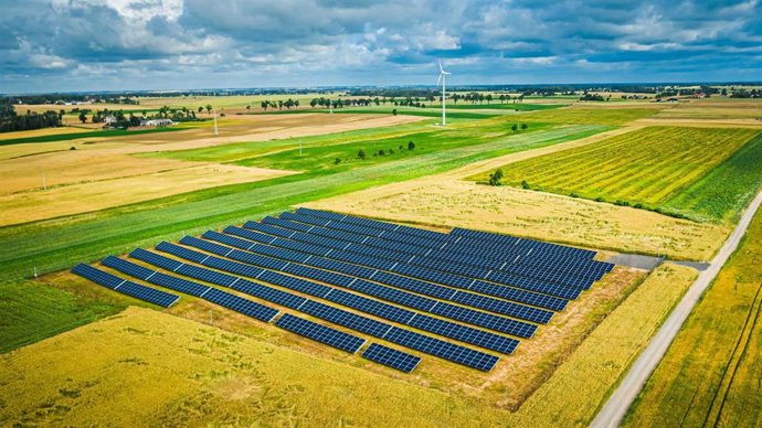 Archivo - Paneles de energía solar fotovoltaica.