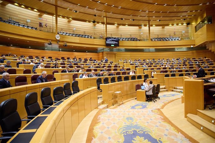 El senador del Partido Popular, Pablo González Menéndez, durante una sesión plenaria, en el Senado, a 25 de septiembre de 2024, en Madrid (España). Durante el pleno se ha realizado una moción por la que se reprueba al ministro de Transportes y Movilidad S