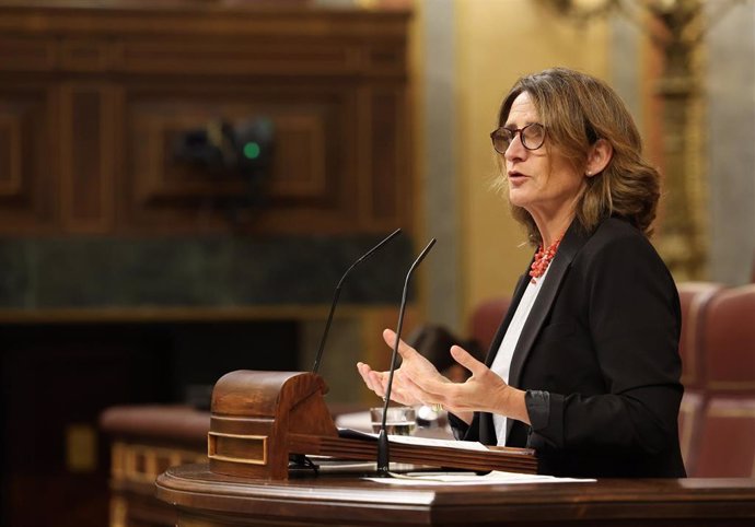 La vicepresidente tercera y ministra para la Transición Ecológica, Teresa Ribera, interviene durante una sesión plenaria, en el Congreso de los Diputados, en Madrid (España)