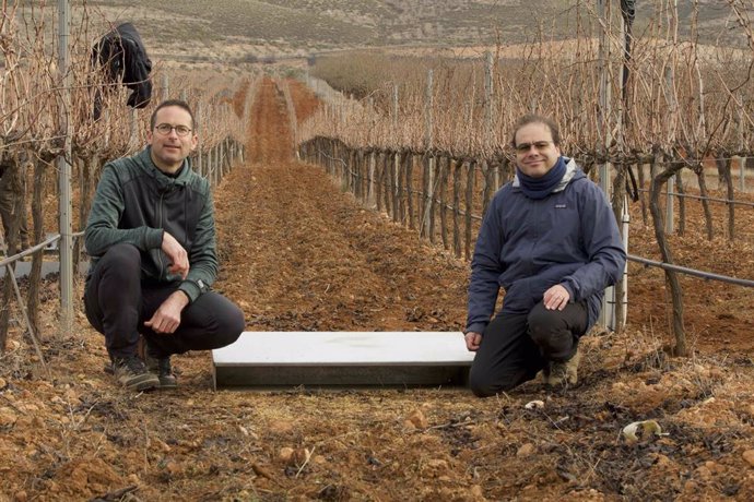 Archivo - Los investigadores Jesús Fernández Gálvez (UGR) y Joseph Pollacco (MWLR) durante su trabajo de campo para evaluar las técnicas avanzadas de gestión hídrica en viñedos