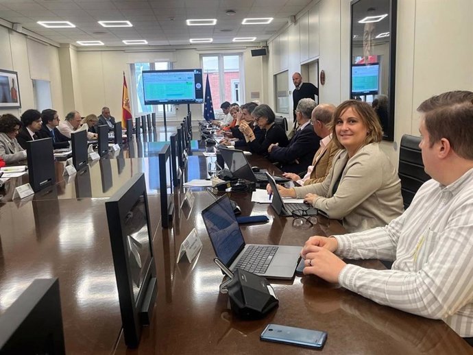 La consellera de Presidencia, Antnia Estarellas, durante la Comisión de Derechos Civiles y Participación del Consejo de la Ciudadanía Española en el Exterior