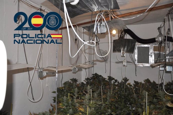 Cae una banda en Écija (Sevilla) con seis detenidos sorprendidos 'in fraganti' con 60 kilos de marihuana.