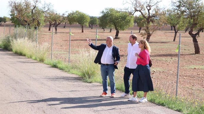 MÉS per Mallorca pide al Consell una moratoria en la tramitación de los proyectos fotovoltaicos en suelo rústico