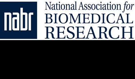 Comunicados Internacional