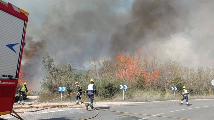 Incendio en s'Albufera, en Alcúdia