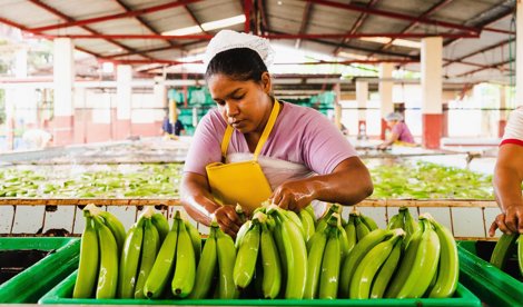 Comunicados Sociedad
