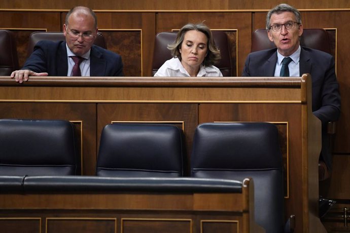 Archivo - (I-D) El portavoz del PP en el Congreso, Miguel Tellado; la secretaria general del PP, Cuca Gamarra y el presidente del Partido Popular, Alberto Núñez Feijóo, durante una sesión plenaria extraordinaria, en el Congreso de los Diputados, a 23 de j