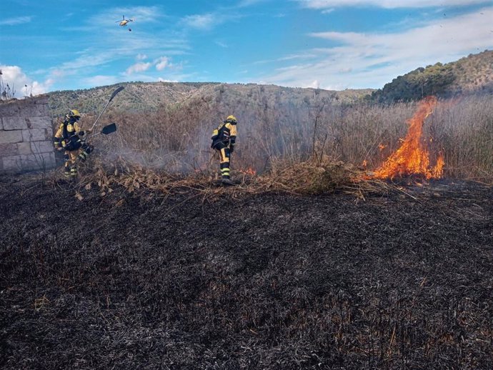 Efectivos del Ibanat trabajan en la extinción del incencio de s'Albufera de Sa Pobla.