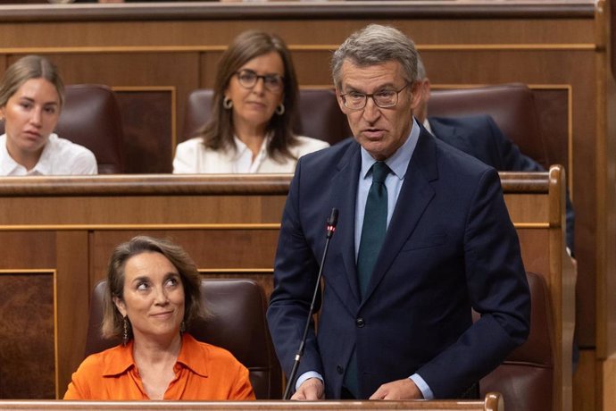 Archivo - El presidente del PP, Alberto Núñez Feijóo, interviene durante una sesión de control al Gobierno, en el Congreso de los Diputados, a 26 de junio de 2024, en Madrid (España).  La financiación singular para Cataluña protagoniza hoy la sesión de co