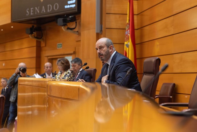 Archivo - El presidente del Senado, Pedro Rollán, interviene durante una sesión plenaria, en el Senado, a 14 de mayo de 2024, en Madrid (España).  La Ley de Amnistía da hoy su último paso en el Senado, cuando el PP hará valer su mayoría absoluta en la Cám