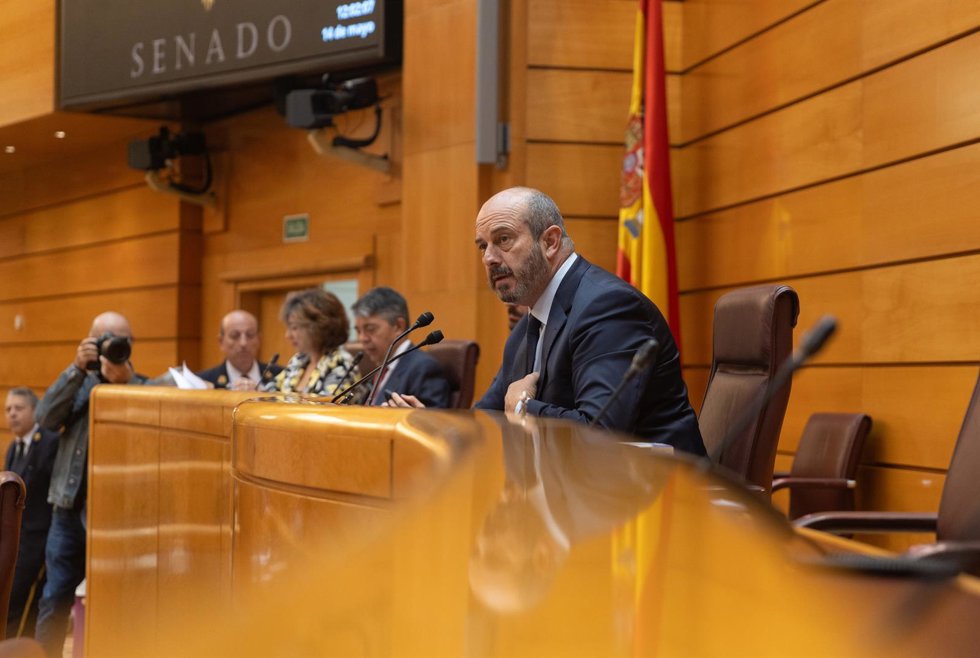 Archivo - El presidente del Senado, Pedro Rollán, interviene durante una sesión plenaria, en el Senado, a 14 de mayo de 2024, en Madrid (España).  La Ley de Amnistía da hoy su último paso en el Senado, cuando el PP hará valer su mayoría absoluta en la C