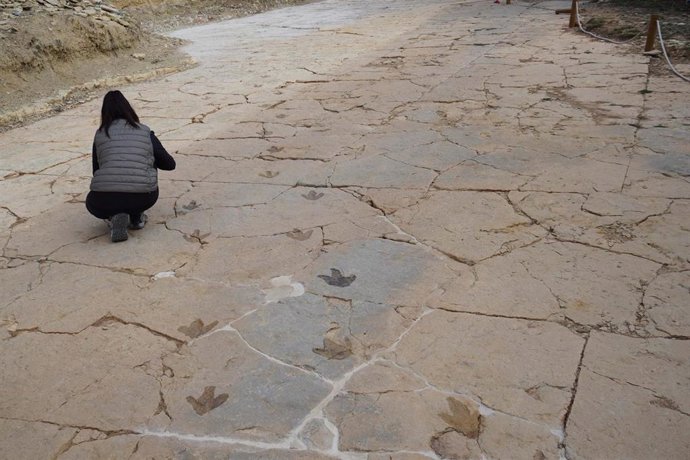 Icnitas halladas en el yacimiento
