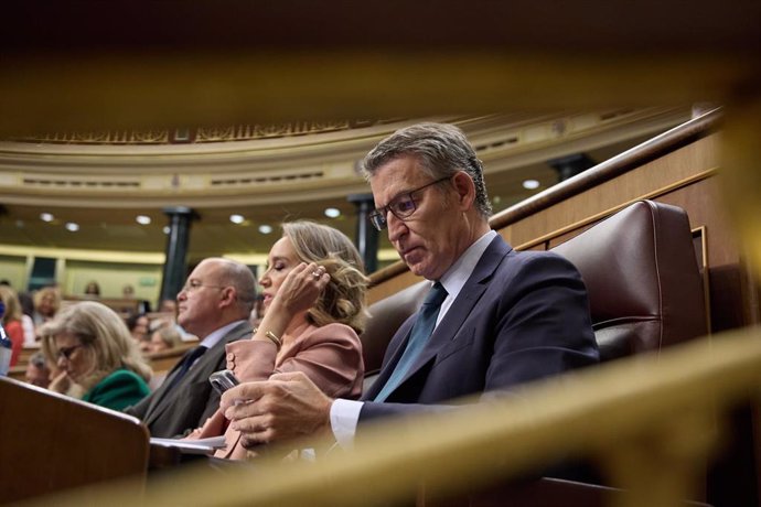 El presidente del PP, Alberto Núñez Feijóo, durante una sesión de control al Gobierno, en el Congreso de los Diputados, a 9 de octubre de 2024, en Madrid (España). 