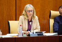 La Junta reconoce que la aceptación de los MIR al plan del SAS "no es la esperada" con datos "provisionales"