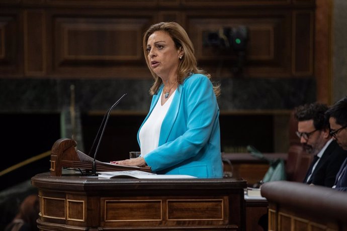 La diputado de Coalición Canaria Cristina Valido interviene durante una sesión plenaria, en el Congreso de los Diputados, a 8 de octubre de 2024, en Madrid (España). El Congreso aborda hoy la toma en consideración de dos iniciativas legislativas, una Prop