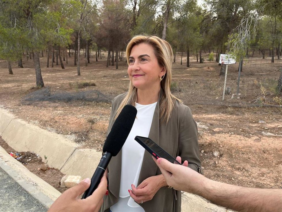 La viceportavoz del Grupo Parlamentario Socialista Carmina Fernández
