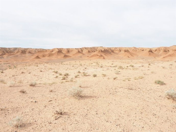 Afloración de yesos en el desierto de Gobi./