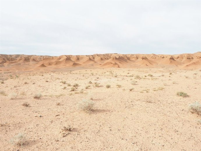 Latam.-Ciencia.-CSIC desarrolla un proyecto para mejorar el conocimiento de afloramientos de yesos en el desierto de Gobi en Asia