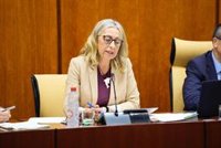 Salud calcula que el SAS ha perdido un 7% de las citas con médicos de familia en los primeros ocho meses del año