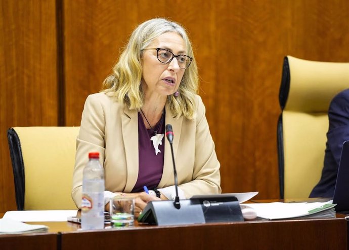 La consejera de Salud y Consumo de la Junta, Rocío Hernández, en comisión parlamentaria. 