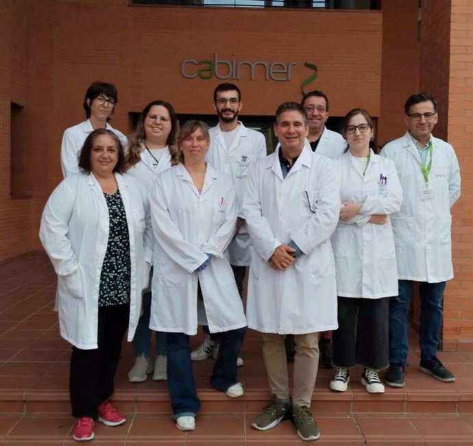 Equipo de investigación ante el Centro Andaluz de Biología Molecular y Medicina Regenerativa (Cabimer).