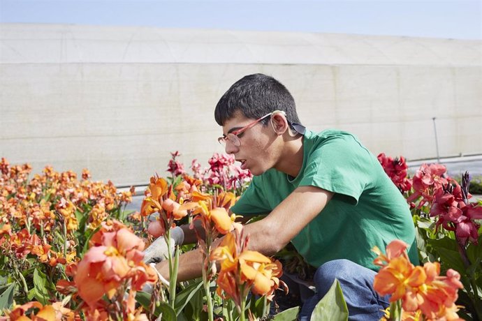 La Fundación "la Caixa" a través de su línea Incorpora Salud Mental, ha atendido en 2024 Andalucía a 286 personas con problemas de salud mental y ha conseguido 163 inserciones sociolaborales en 110 empresas.