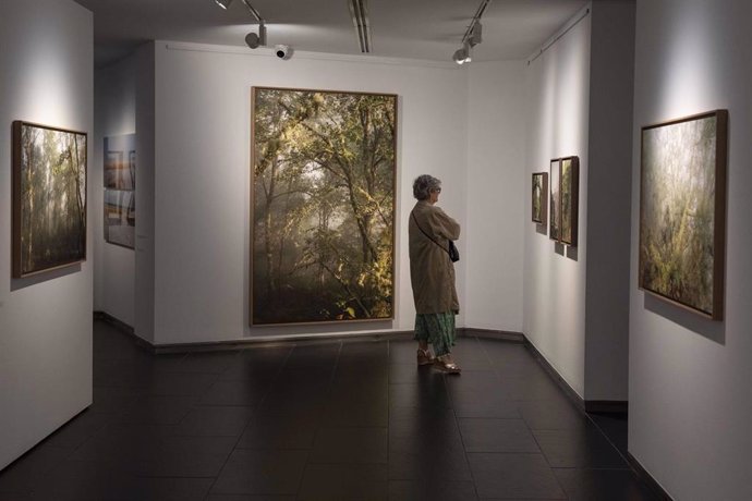 Una visitante observa uno de los cuadros de la exposición 'Mirar un paisaje. Seis visiones contemporáneas' en el Centro Cultural de Fundación Unicaja en Cádiz