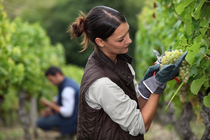 Explotación agraria en Andalucía.