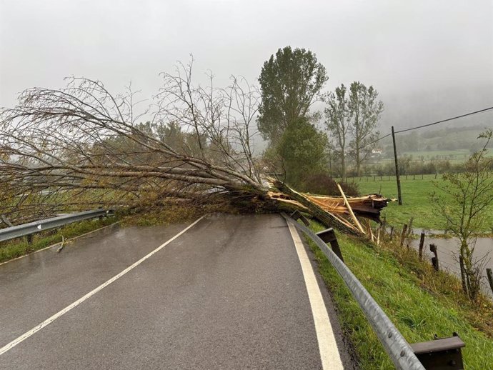 El 112 de Cantabria recibe 628 llamadas y gestiona 306 incidencias provocadas por el viento en la jornada de hoy