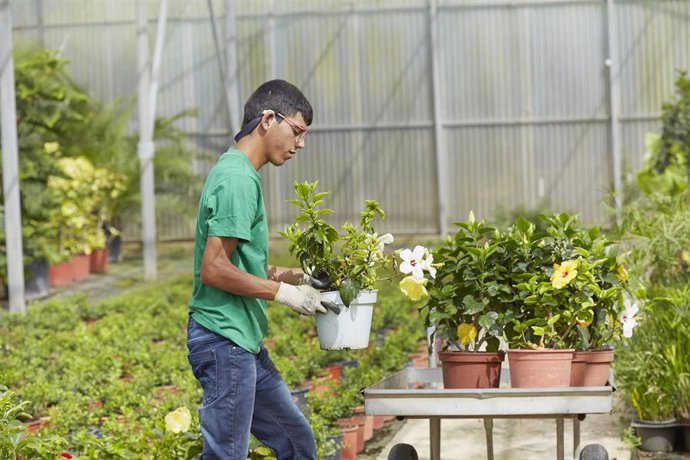 Más de 150 personas con problemas de salud mental, contratadas en la Comunitat con Incorpora de Fundación la Caixa