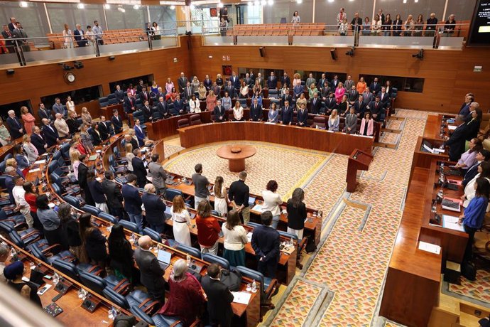 Un pleno en la Asamblea de Madrid.