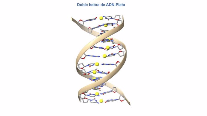 Figura de una doble hebra de ADN-Plata