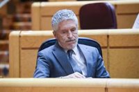 El PP cita a Marlaska y al exCEO de Globalia para interrogarles en la comisión del Senado del 'caso Koldo'