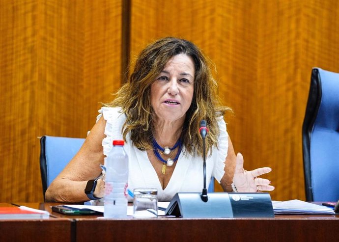 La consejera de Desarrollo Educativo y Formación Profesional, Carmen Castillo, en comisión parlamentaria el 10/10/2024.