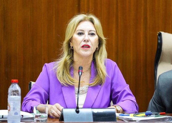 La consejera de Economía y portavoz del Gobierno andaluz, Carolina España, este jueves durante una comparecencia parlamentaria.
