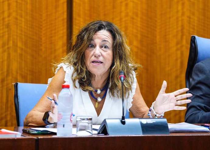 La consejera de Desarrollo Educativo y Formación Profesional, Carmen Castillo, en comisión parlamentaria el 10/10/2024.