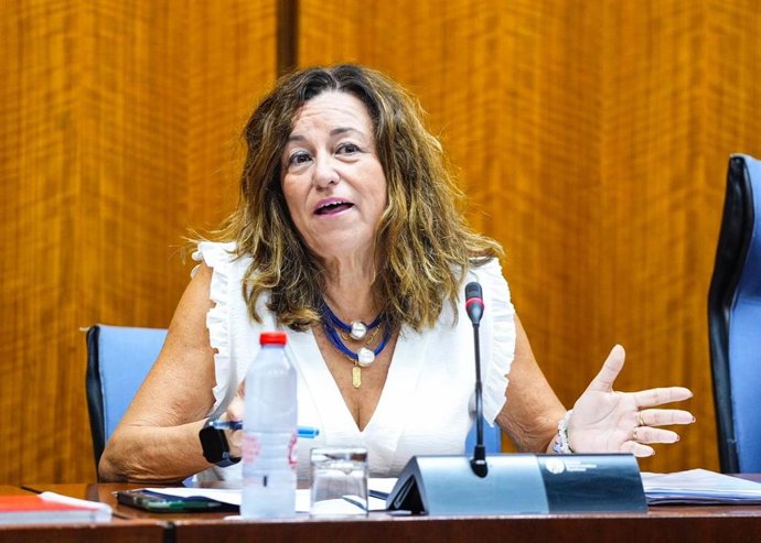 La consejera de Desarrollo Educativo y Formación Profesional, Carmen Castillo, en comisión parlamentaria el 10/10/2024.