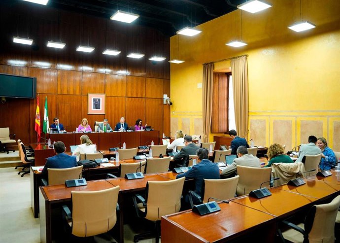 Sesión de la comisión de Economía, Hacienda y Fondos Europeos del Parlamento andaluz durante una comparecencia de la consejera del ramo, Carolina España.