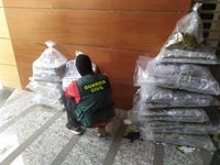 Incautados 120 kilos de hachís y más de 32 kilos de marihuana en un edificio ocupado de Albolote (Granada)