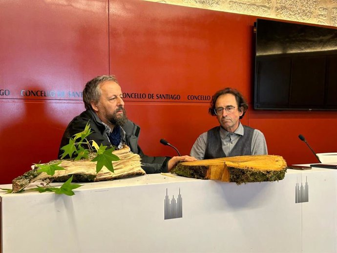 Raxoi apunta que los árboles de la Alameda estaban "sanos" y que su caída "solo se puede atribuir a los fuertes vientos".