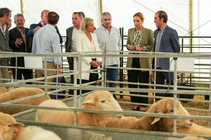 La presidenta de la Diputación Provincial, Almudena Martínez (2d), y la alcaldesa de Benaocaz, Olivia Benegas (4d) en la inauguración de la feria ganadera de este municipio.