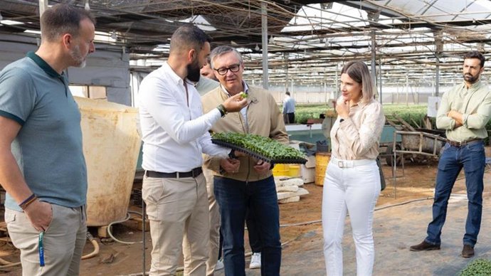 Manuel Gavira en una explotación agrícola de la Costa Noroeste en la provincia de Cádiz.