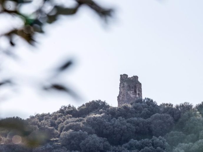 Torre del Bollo, en Utrera