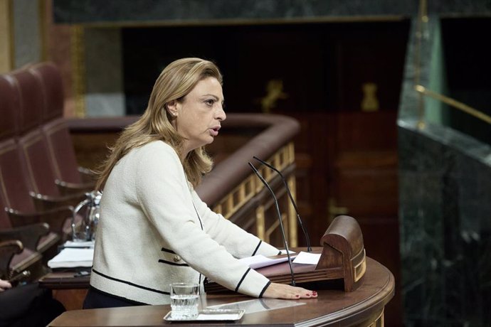 La diputada de Coalición Canaria Cristina Valido interviene durante una sesión plenaria, en el Congreso de los Diputados, a 9 de octubre de 2024, en Madrid (España). 