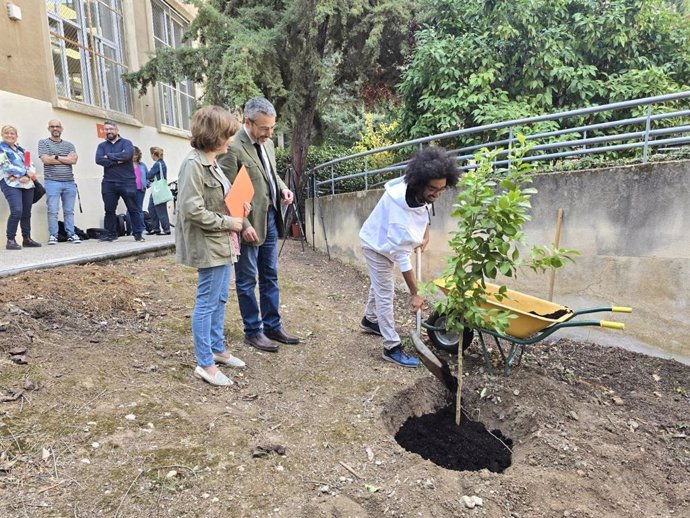 Plantación del limonero dentro del acto de reconocimiento a esta acción climática.