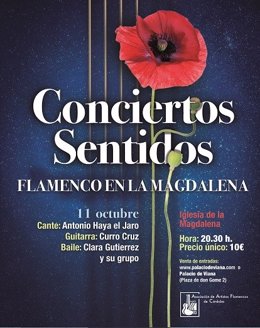 Cartel de la próxima sesión del ciclo 'Conciertos Sentidos'.