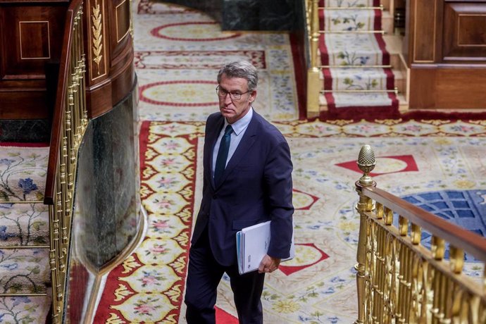 El presidente del PP, Alberto Núñez Feijóo, en el Congreso de los Diputados, a 9 de octubre de 2024, en Madrid (España).