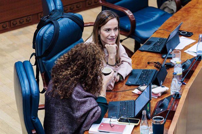 La nueva portavoz de VOX en la Asamblea de Madrid, Isabel Pérez Moñino-Aranda, durante un pleno en la Asamblea de Madrid, a 10 de octubre de 2024, en Madrid (España). Fúster ha ofrecido estas declaraciones después de que la hasta hoy portavoz de VOX en la