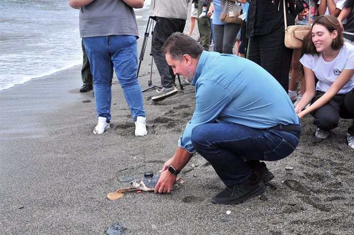 Liberadas dos tortugas bobas en la playa de La Herradura tras su recuperación en el CEGMA