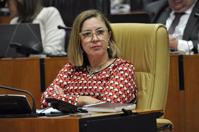 La consejera de Agricultura, Ganadería y Desarrollo Sostenible, Mercedes Morán, en el pleno de la Asamblea en el que ha sido reprobada.